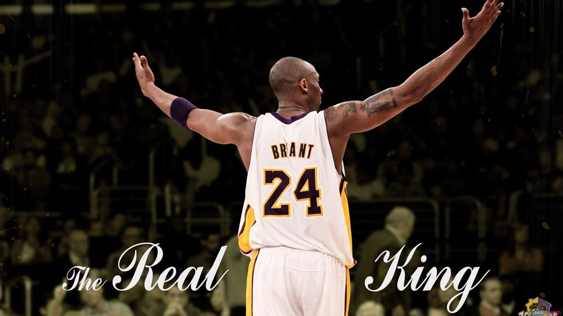 JIUYOU GAMING-鹈鹕发布球队纪录片讲述幕后奋斗故事，cctv鹈鹕2017